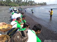 Pelepasan tukik penyu (Azizah/detikTravel)