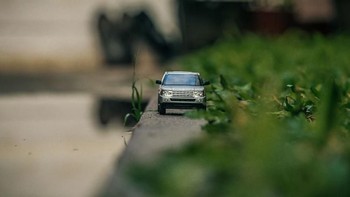 Foto: Rohit Sastry via Bored Panda