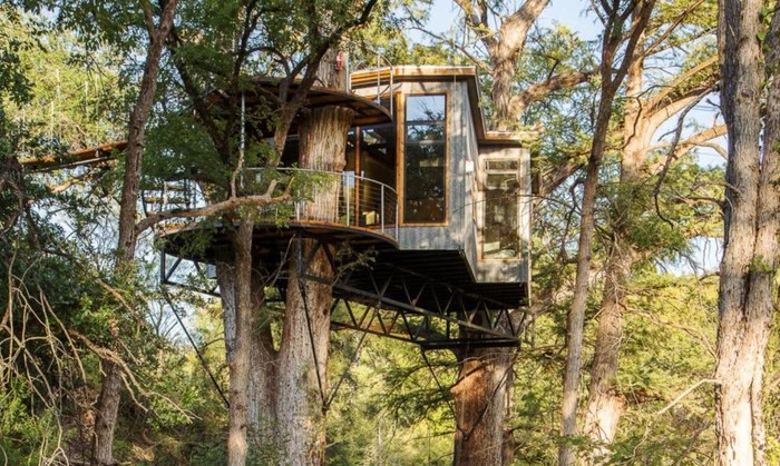 Ada Rumah Mewah 'Nangkring' di Atas Pohon, Begini Jeroannya