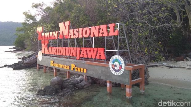 Melihat Konservasi Penyu Di Pulau Legon Jaten Karimunjawa