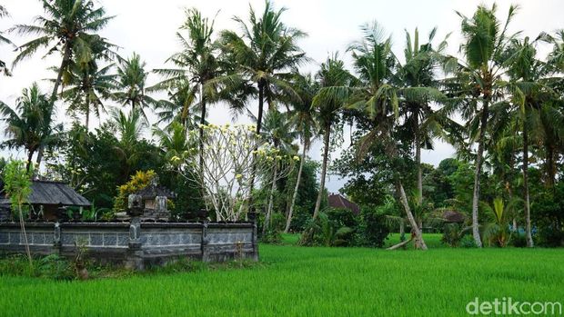 Kembali ke Alam ala Desa Wisata Nyambu yang Instagramable