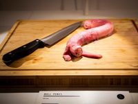 Hii... 10 Makanan Ini Paling Menjijikkan di 'Disgusting Food Museum'