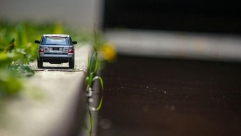 Foto: Rohit Sastry via Bored Panda