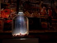 Hii... 10 Makanan Ini Paling Menjijikkan di 'Disgusting Food Museum'