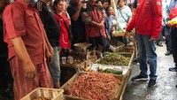 Datang dengan sepeda motor saya kemudian jalan keliling pasar, berbincang dengan para pedagang sayur, buah-buahan, ayam, telur, hingga daging. Harga-harga bahan pokok sejauh ini stabil. Sebagian malah turun. Tapi fluktuasi harga di pasar itu hal biasa, kata Jokowi lewat instagramnya. Foto: Ray Jordan/detikcom Foto: Ray Jordan/detikcom