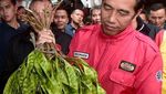 10 Gaya Blusukan Presiden Jokowi ke Pasar di Bogor hingga Yogyakarta
