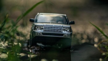 Foto: Rohit Sastry via Bored Panda