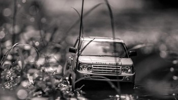 Foto: Rohit Sastry via Bored Panda