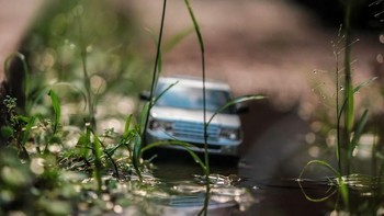 Foto: Rohit Sastry via Bored Panda