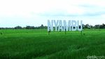 Foto: Kesejukan Desa Wisata Nyambu yang Instagramable