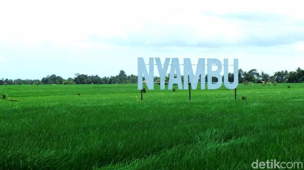Kembali ke Alam ala Desa Wisata Nyambu yang Instagramable