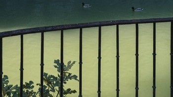 Pembatas cahaya. Foto: Denis Cherim