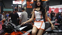 Para gadis ini tampil kompak mengenakan busana mini dengan warna dominan putih dipadu dengan aksen warna oranye khas KTM.