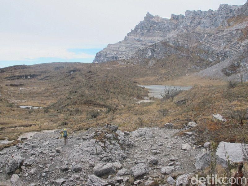 Gunung Carstensz Papua