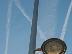 Menarik! Deretan Foto Dijepret dengan Angle dan Momen Pas