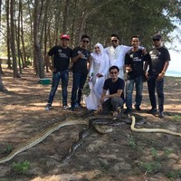 Banyak netizen yang merasa takut sekaligus terpana melihat foto pernikahan pasangan tersebut bersama ular king kobra. Hiii seram, ini serius bukan main-main? Kalau aku tak mungkin berani, komentar netizen Foto: Facebook Mohd Sabron Jamil