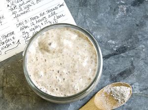 Unik! Ada Hotel Khusus Penitipan Ragi Sourdough