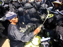 Apa Itu Kearifan Lokal? ini Pengertian, Ciri-ciri, Fungsi, dan Tantangannya