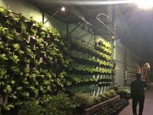 Kampung di Malang Ini Jadi Rujukan Menabung Air di Mancanegara