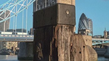 Kayu penyangga. Foto: Denis Cherim