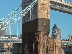 Menarik! Deretan Foto Dijepret dengan Angle dan Momen Pas