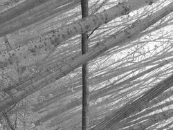 Menarik! Deretan Foto Dijepret dengan Angle dan Momen Pas