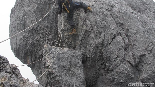 Trek Pendakian Carstensz