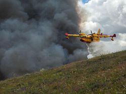 Menarik! Deretan Foto Dijepret dengan Angle dan Momen Pas