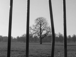 Menarik! Deretan Foto Dijepret dengan Angle dan Momen Pas