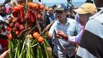 Foto: Tradisi Syukur Nelayan yang Unik di Lombok Barat