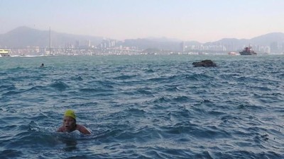Foto: Komunitas Renang dengan Tempat Rahasia di Hong Kong