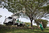 Djarum Foundation Tanam 10.000 Pohon Trembesi di Tol Semarang-Batang