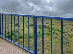 Menarik! Deretan Foto Dijepret dengan Angle dan Momen Pas