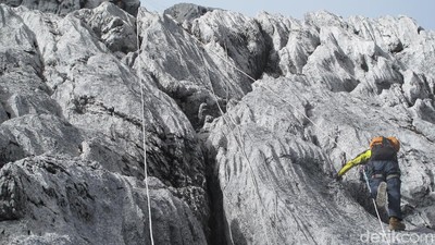 Foto: Beginilah Trek Pendakian Puncak Carstensz