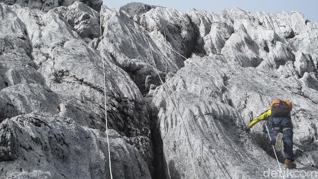 Trek Pendakian Carstensz