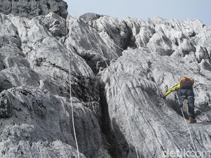 Foto: Beginilah Trek Pendakian Puncak Carstensz