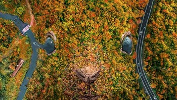 Fabien mengumpulkan beragam foto dari mana saja yang membuat orang yang melihatnya seperti melihat wajah orang atau bentuk hewan dan beragam objek lainnya. Fabien pun menggunakan drone untuk mendapatkan beragam foto pareidolia itu. foto: Istimewa/Boredpanda.