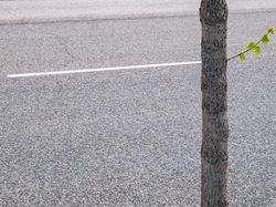 Menarik! Deretan Foto Dijepret dengan Angle dan Momen Pas