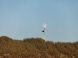 Menarik! Deretan Foto Dijepret dengan Angle dan Momen Pas