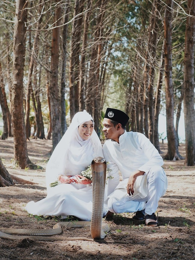 Adalah pasangan Farhana Zakaria dan Kama Rom yang berani melangsungkan foto-foto pernikahan dengan ular berbisa itu. Keduanya ternyata memiliki hobi yang sama Foto: Twitter @takoball_
