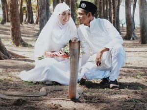 Ngeri! Foto Pernikahan Pasangan dengan Ular King Kobra Ini Jadi Viral