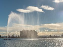 Menarik! Deretan Foto Dijepret dengan Angle dan Momen Pas