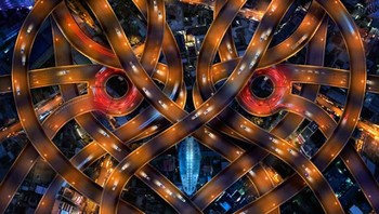 Istilah pareidolia sendiri adalah sesuatu objek yang memilih tampilan seperti wajah manusia atau berbentuk binatang.  Foto: Istimewa/Boredpanda.