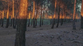 Cahaya separuh. Foto: Denis Cherim