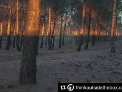 Menarik! Deretan Foto Dijepret dengan Angle dan Momen Pas