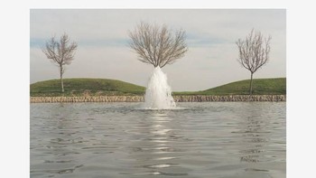 Pohon unik.  Foto: Denis Cherim