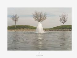 Menarik! Deretan Foto Dijepret dengan Angle dan Momen Pas