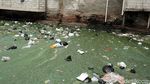 Duh, Kali Duri Cideng Kembali Kotor dan Berbau