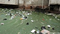 Kesadaran masyarakat sekitar dalam menjaga kebersihan kali/sungai tampaknya harus lebih ditingkatkan lagi demi menjaga lingkungannya tetap bersih. 