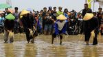 Berkenalan dengan Tradisi Kebo-keboan Para Petani di Banyuwangi